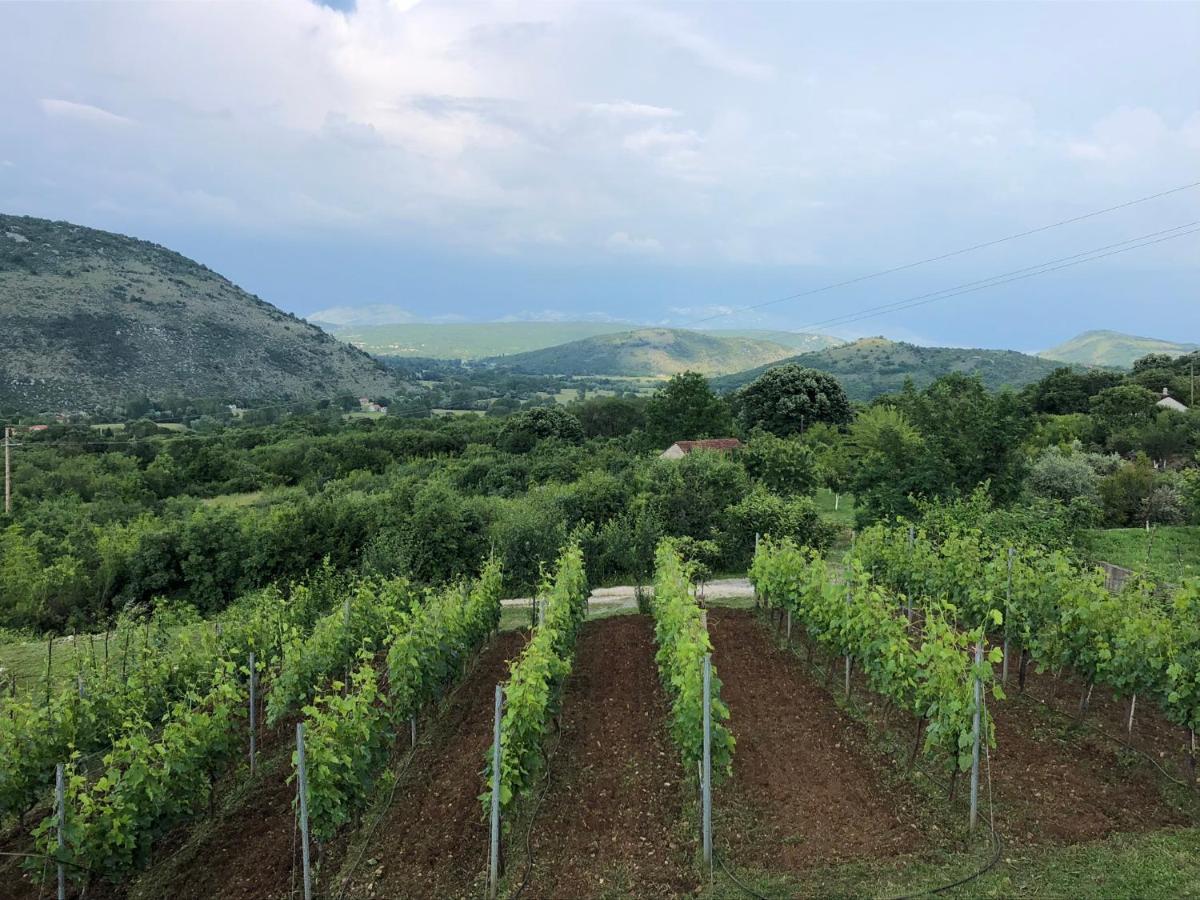 Green Silence - Iva Danilovgrad Exteriér fotografie